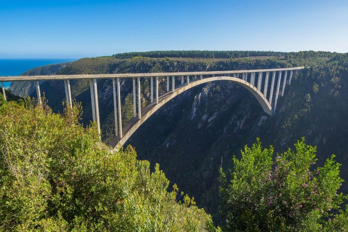 Bloukrans Bridge Bungee Jump Experience – Highest Bungee in South ...